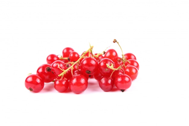 Red currant berries on a white background