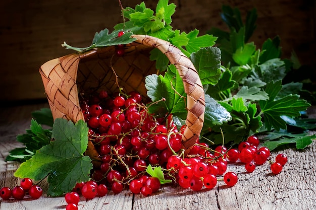 Red currant dark vintage wooden background selective focus