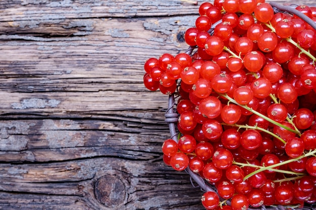 Red currant in a metal basket