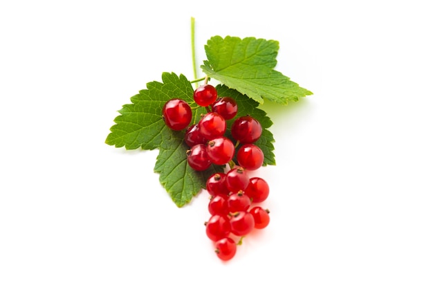 Red currant with green leaves isolated on white background