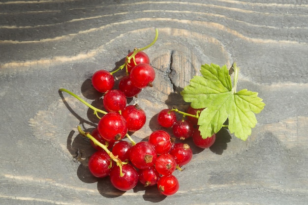 Red currant on wood table