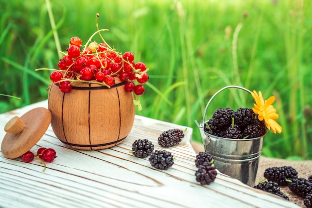 Red currant in a wooden cup and black mulberry in a metal bucket on a white board