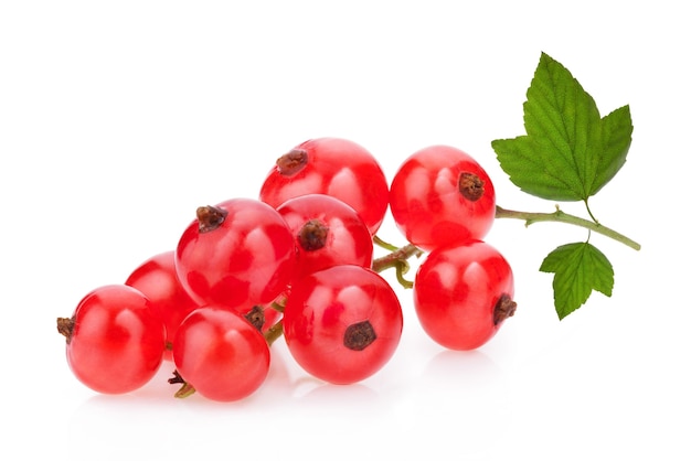 Red currants and green leaves still life isolated on white