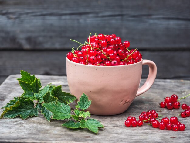 Red currants in a large pink mug on the table of a country house