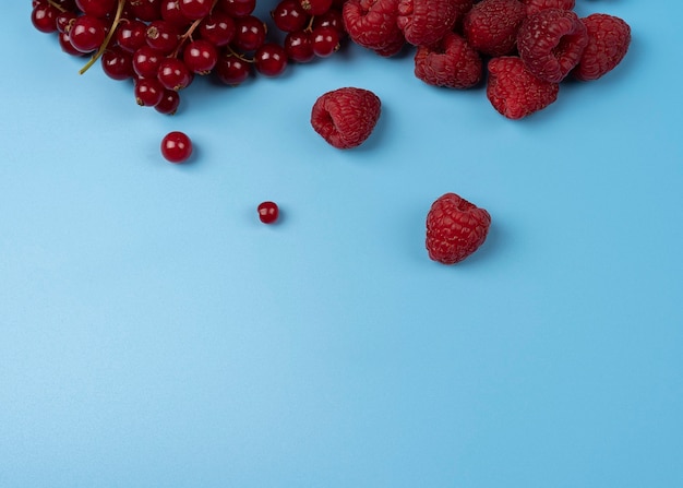 Red currants with fresh red raspberry in a blue background