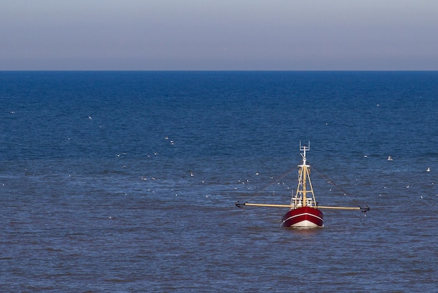 A red cutter with a flock of seagulls on the North Sea