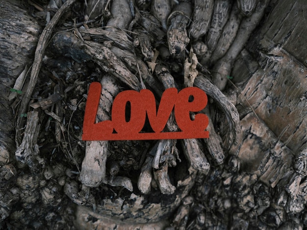 Red decorative love lettering on a tree