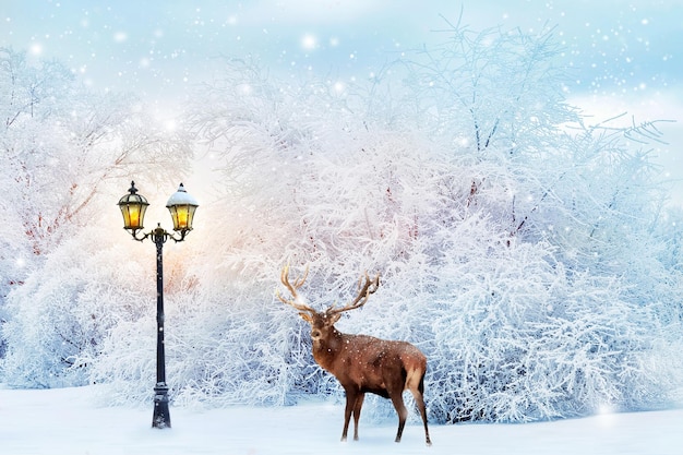 Red deer in a fabulous Christmas forest on a background of snowy trees and a lantern Composite image New Year card