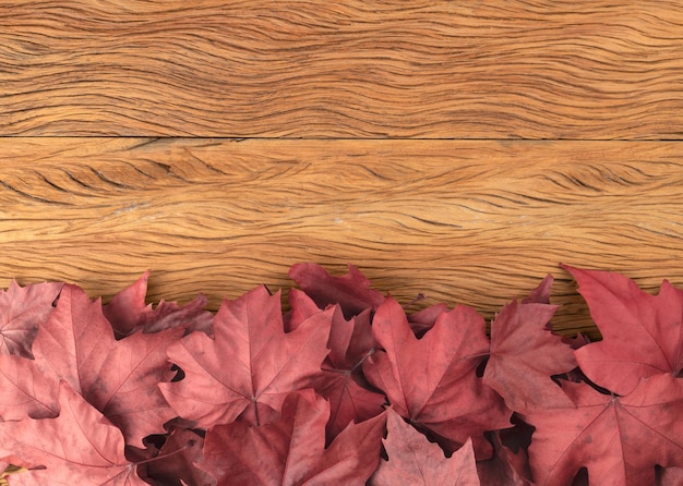 Red dried maple leaves over wooden background with copy space