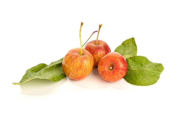 Red Dwarf Apple Isolated On White Background