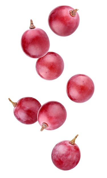 Red falling grapes isolated on a white background