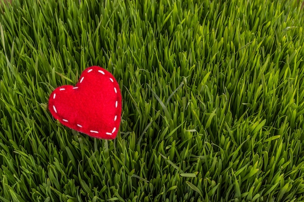 Photo red felt heart