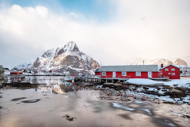 Red fishing cottage or Reine rorbuer with snow covered mountain on coastline in sunny day at Lofoten Island