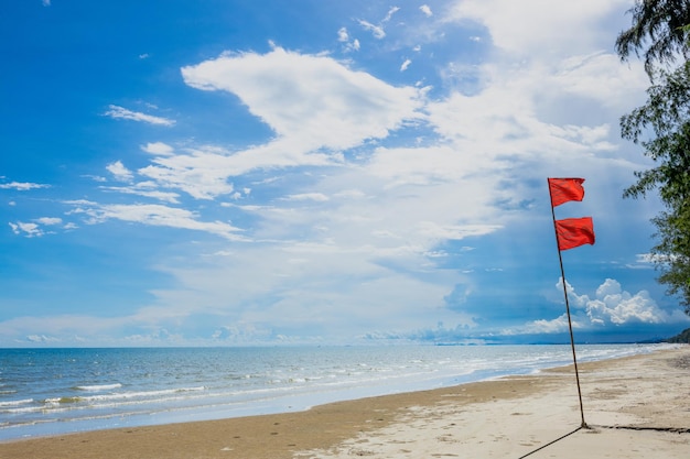 Red flags are placed on the seashore to indicate danger.