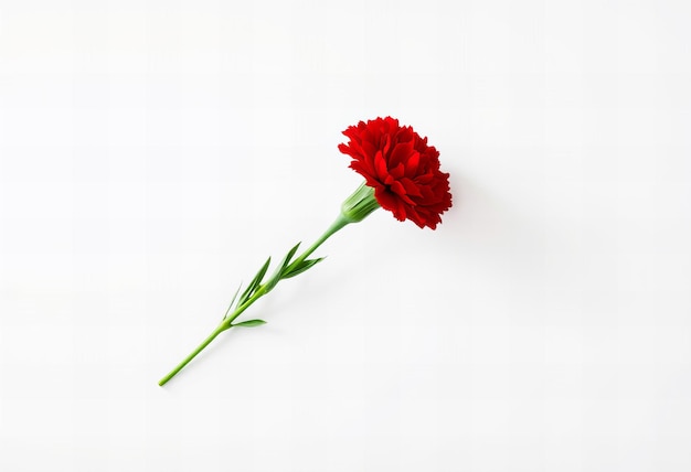 Photo a red flower with the word  i love  on it