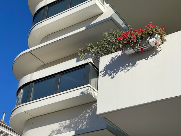 Red flowers in a pot on the terrace of an apartment in modern residential building