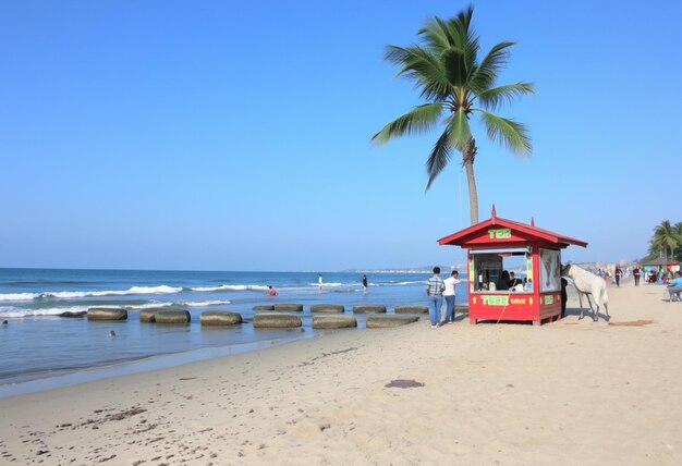 a red food cart on the beach with a palm tree in the background