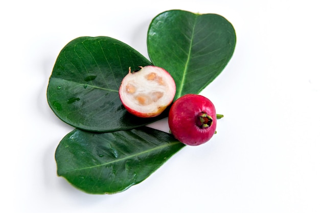 Red fruit Psidium cattleyanum on white background Leaf and Fruit Cattley guava