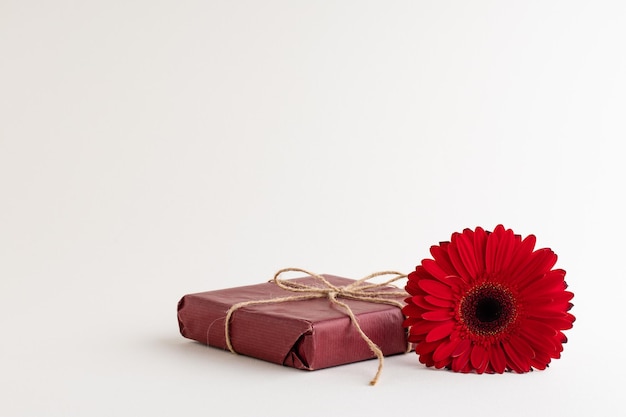 Red gebera flower with different objects on white