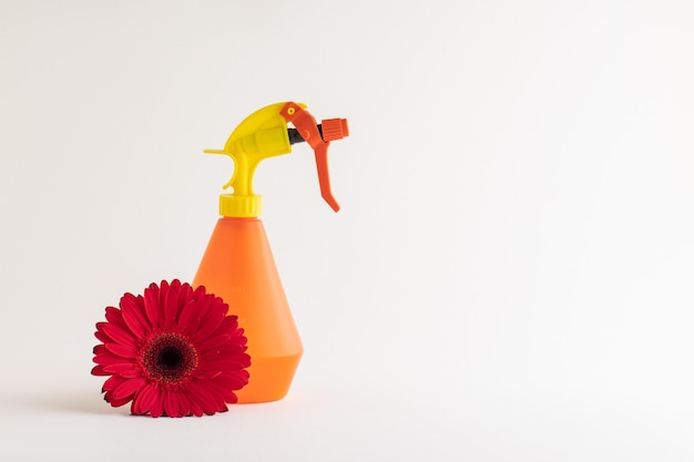 Red gebera flower with different objects on white