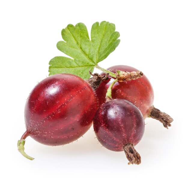 Red gooseberries with green leaf isolated on white background