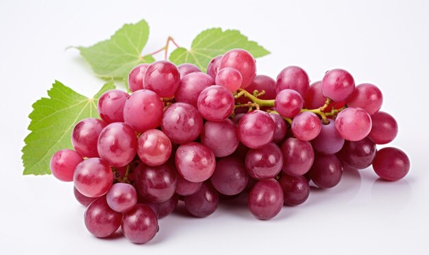 red grape extract