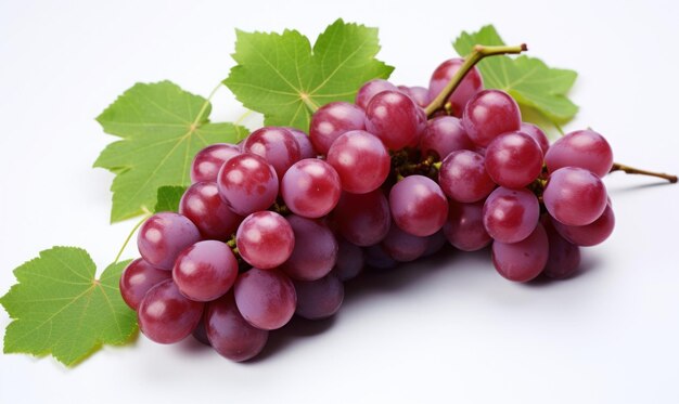 red grape extract