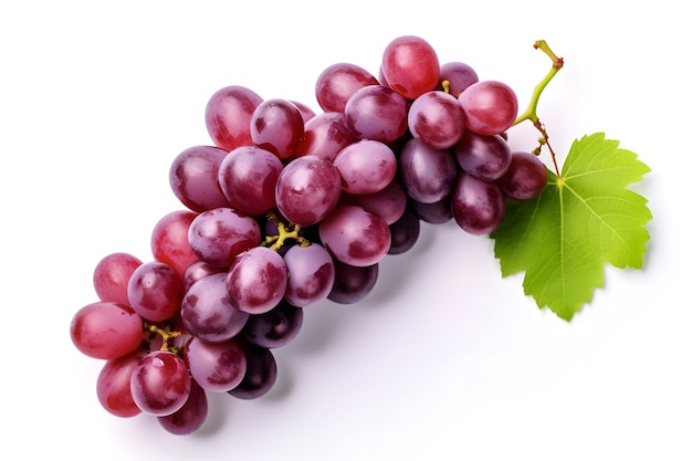 Red grape with leaf isolated on white background