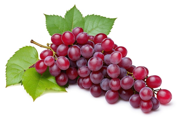 Red grapes dry bunch isolated on white background generative ai