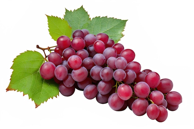 Red grapes dry bunch isolated on white background generative ai