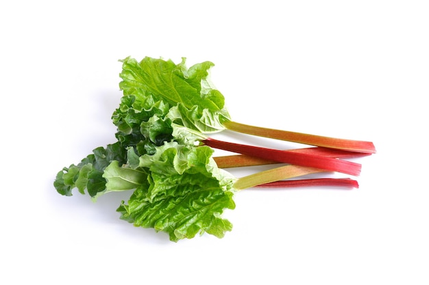 Red and green rhubarb stalks with leaves on a white background. Fresh useful plant from the garden.