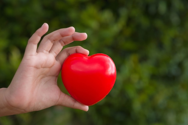 Red heart on hand