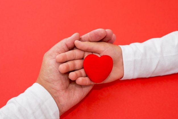 Red heart in the hands of a child and mother on an isolated red background. The concept of love, mercy, sympathy