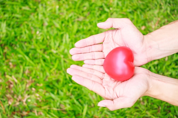 Red heart in man hands, on green background