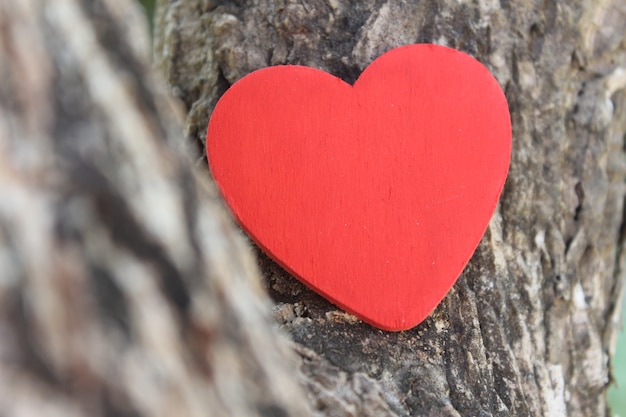 Red heart on tree trunk 