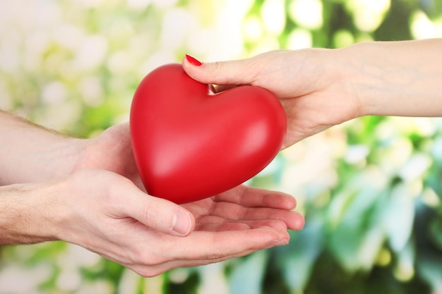 Red heart in woman and man hands, on green background