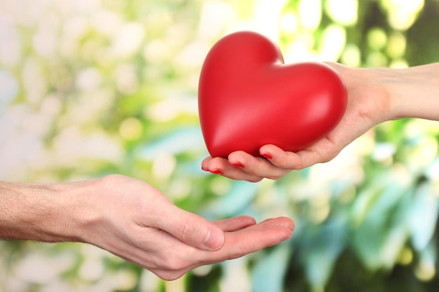 Red heart in woman and man hands, on green background