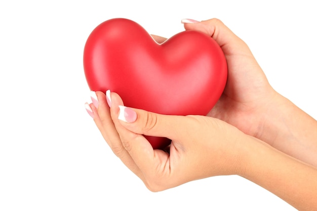 Red heart in woman's hands, on white background close-up