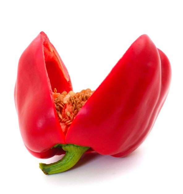 Red hot chili pepper isolated