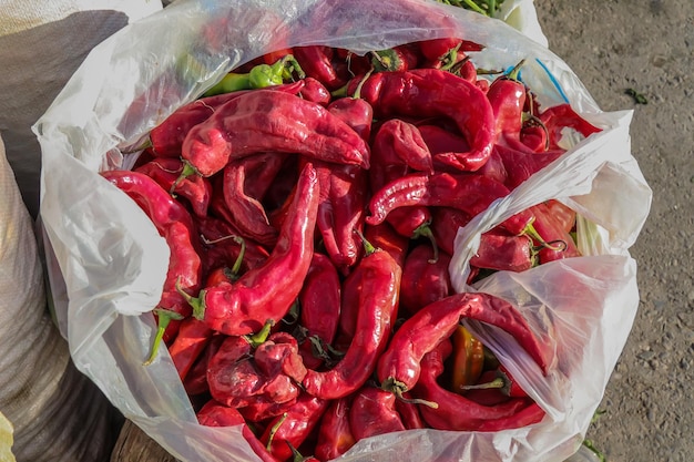 Red hot peppers in a bag at the market