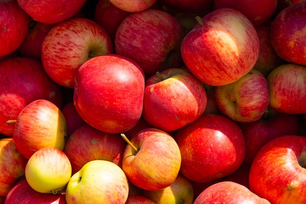 Red juicy apples background