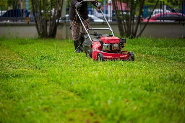 Red Lawn mower cutting grass