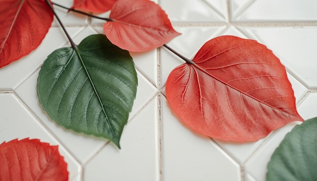 a red leaf that is on a tile with a white background