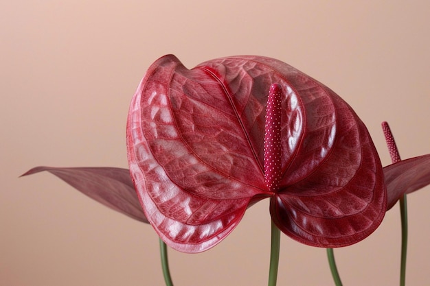 Photo a red leaf with a pattern of the leaves on it