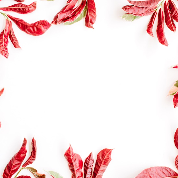 Red leaves frame on white