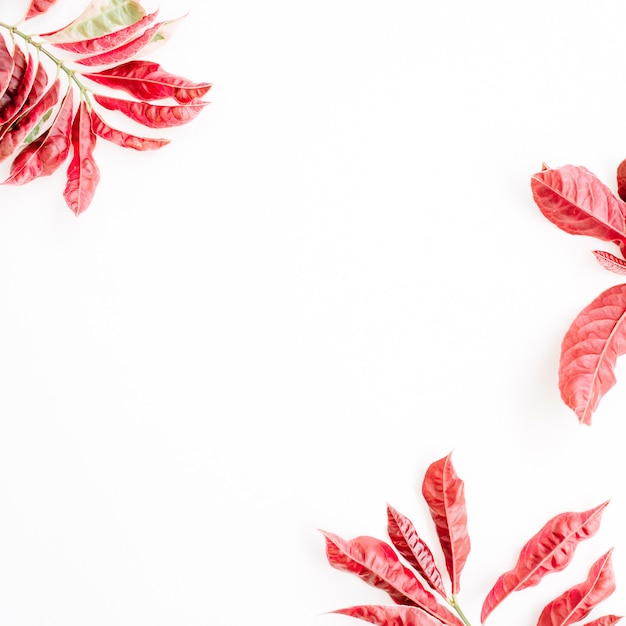 Red leaves frame on white