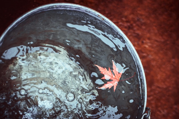 A red maple leaf floats in a tin bucket on the surface of the water with falling raindrops