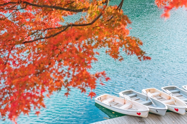 Red maple leaf on Goshikinuma or Five Colored Pond.  a popular destination in Bandai Highlands in autumn in Fukushima prefecture, Japan