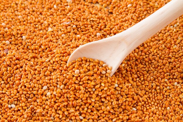 Red millet grains with in wooden spoon