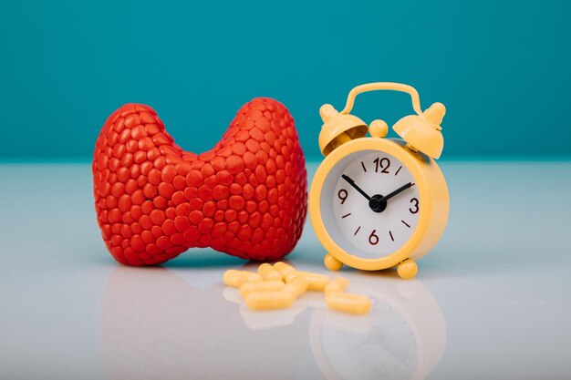 Red model of gland and alarm clock with medicines closeup Thyroid disease prevention and early treatment concept